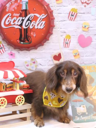 20230923チョロ松くん